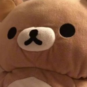 Meet your Posher, Janelle